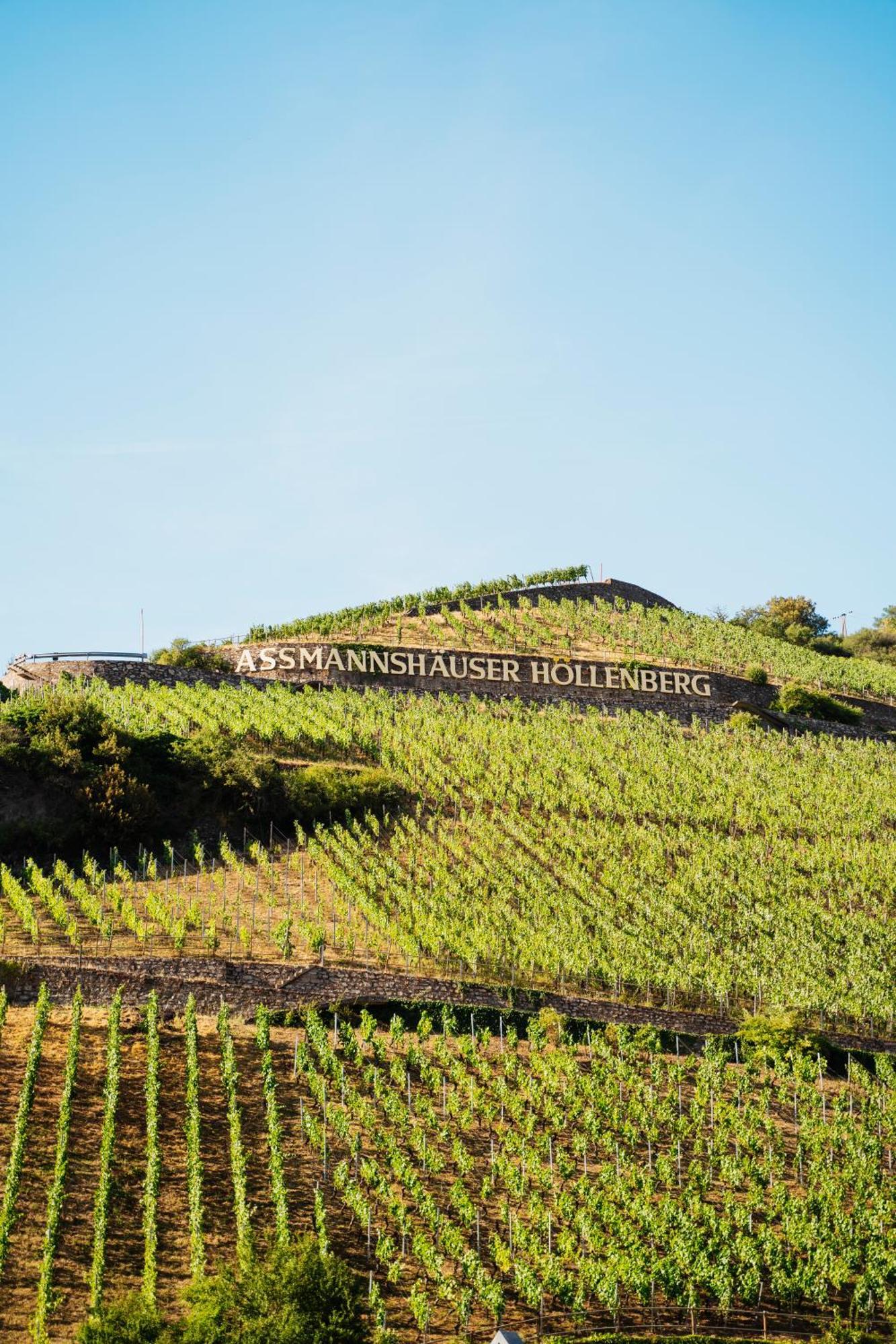 Akzent Hotel Berg'S Alte Bauernschaenke- Wellness Und Wein 吕德斯海姆 外观 照片